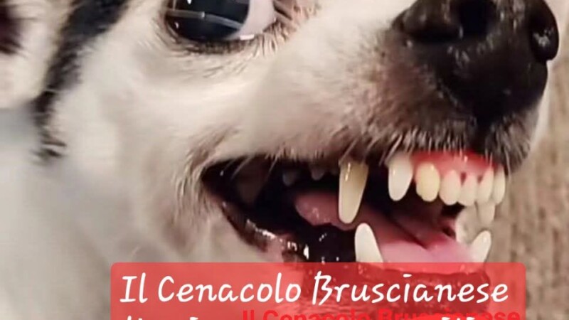 L’Unica Voce Critica di Brusciano Il Cenacolo