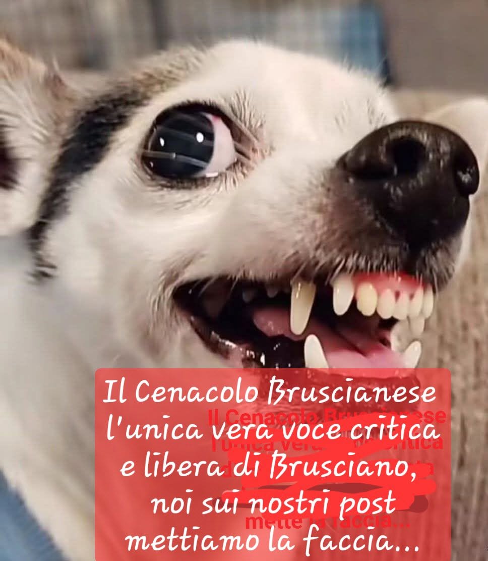 L’Unica Voce Critica di Brusciano Il Cenacolo