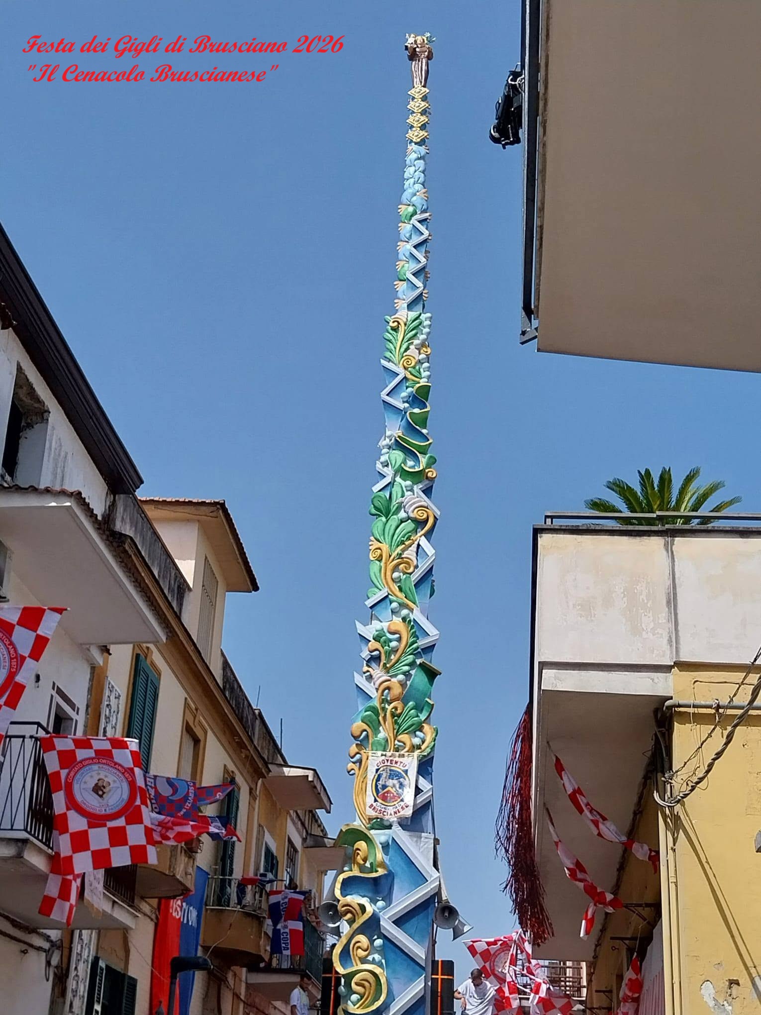 Festa dei Gigli 2026: I Nostri Video e Foto